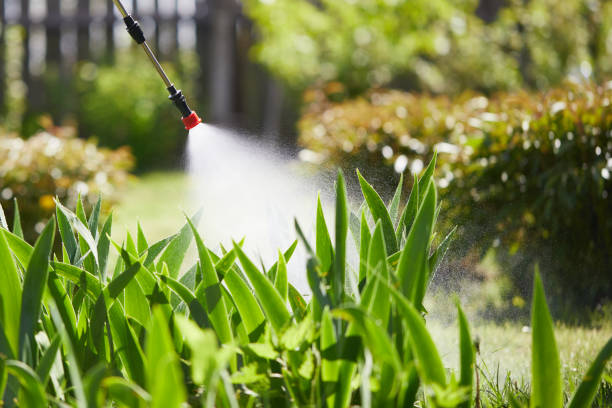 24/7 Emergency Wasp Removal experts in Mangonia Park, FL
