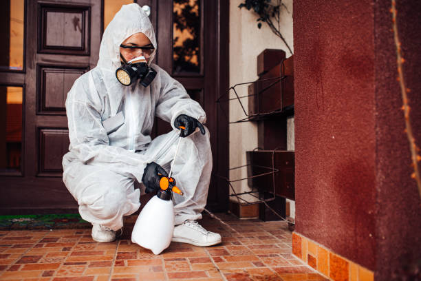Reliable Wasp Removal contractor in Mangonia Park, FL by Show Me Pest Control